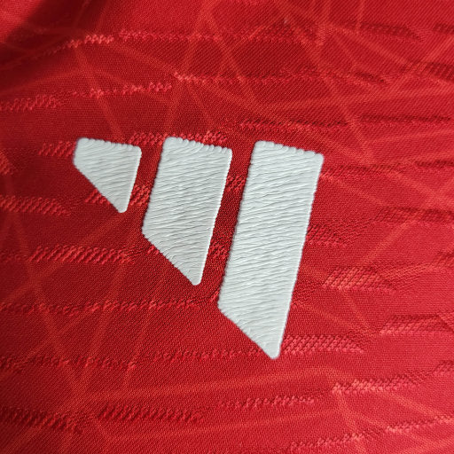 Manchester United Home 2023/24 Player Ready for Delivery