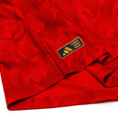 Germany Home 2024/25 Player