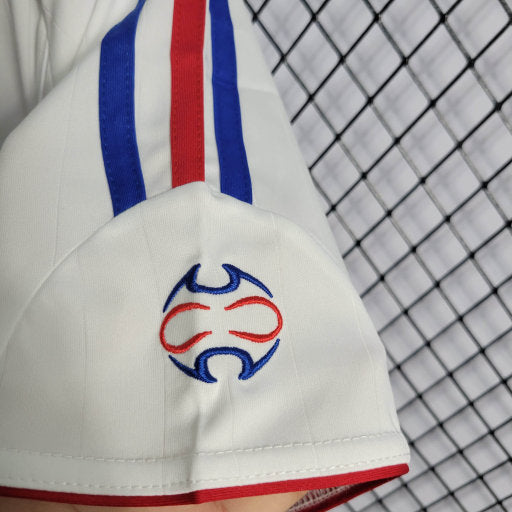 France Home 2006 Retro Fan