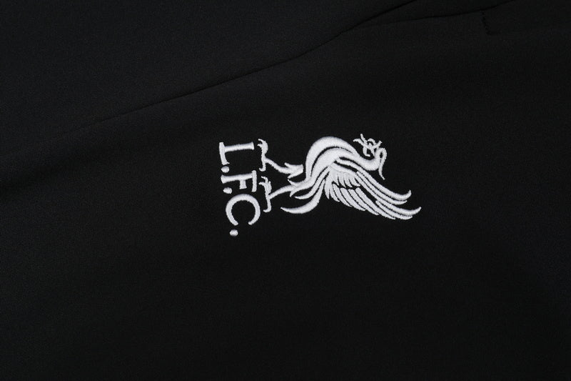 Liverpool 2024 Training Kit