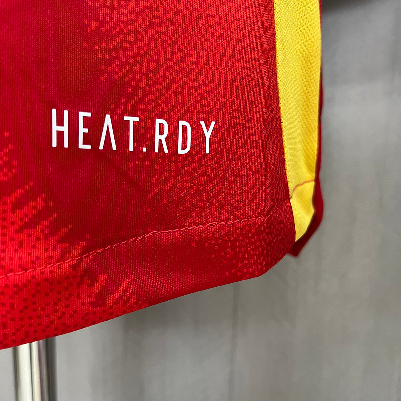 Spain Home 2024/25 Player