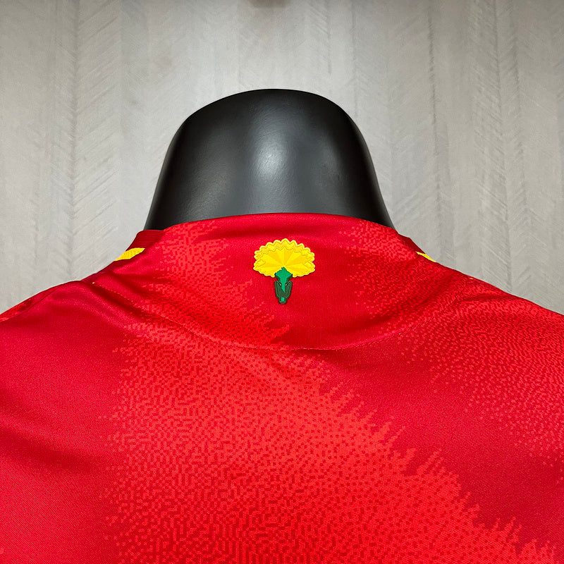 Spain Home 2024/25 Player