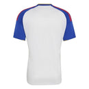 Lyon Home 2023/24 Fan