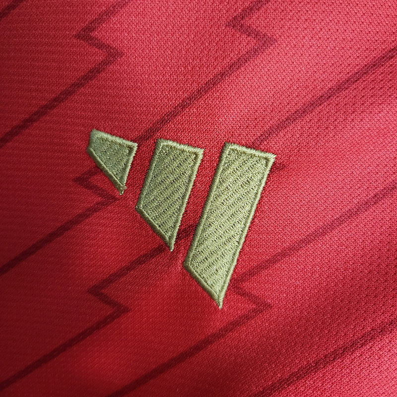 Arsenal Home 2023/24 Fan