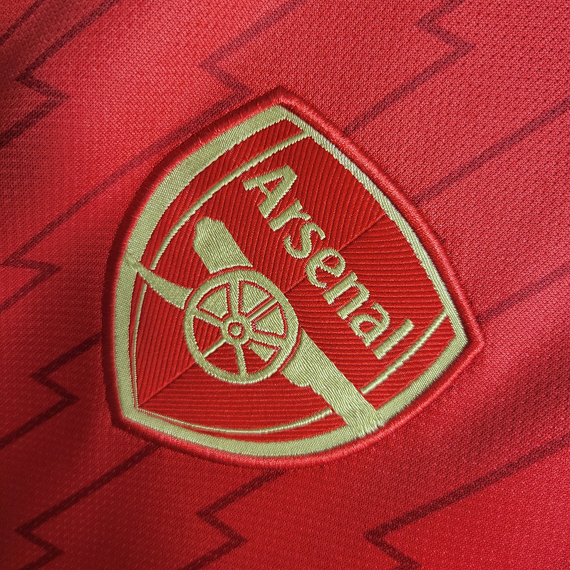 Arsenal Home 2023/24 Fan